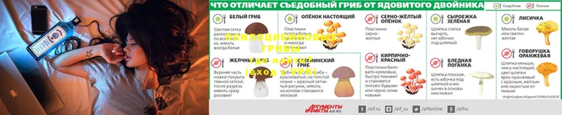 Галлюциногенные грибы мухоморы  продажа наркотиков  Шарыпово 